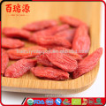 Deliciosa goji baya dulce Ningxia goji goji orgánico con precio bajo